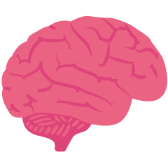 Brain Icon